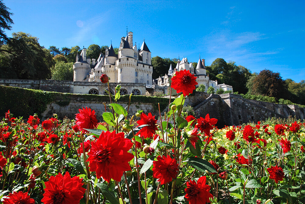 SEE TOURS : Right In The Middle Of The Loire Valley.